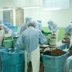 技能実習生英語エピソード